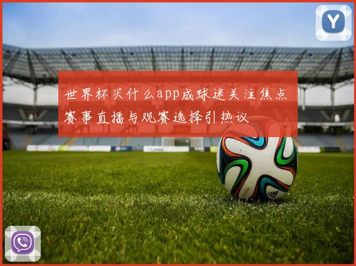 世界杯买什么app成球迷关注焦点 赛事直播与观赛选择引热议